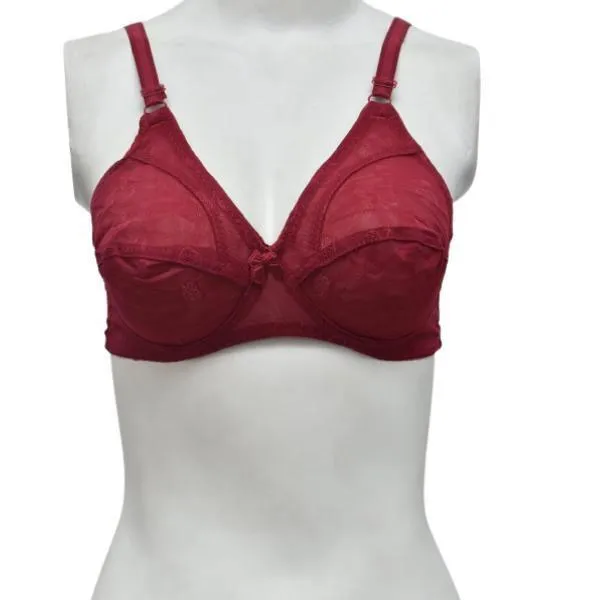 Full Net Matching Color Fancy Bra For Women